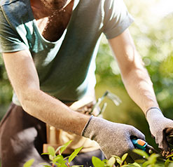 Jardinage et bricolage